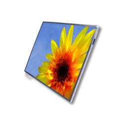 Ecran pc portable pour Dell Latitude D430